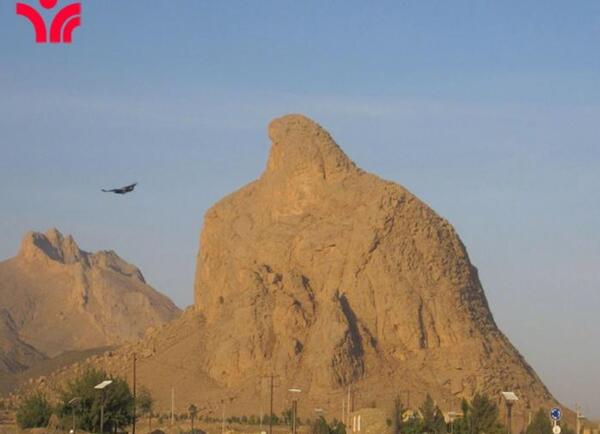 عکس عقاب یزد