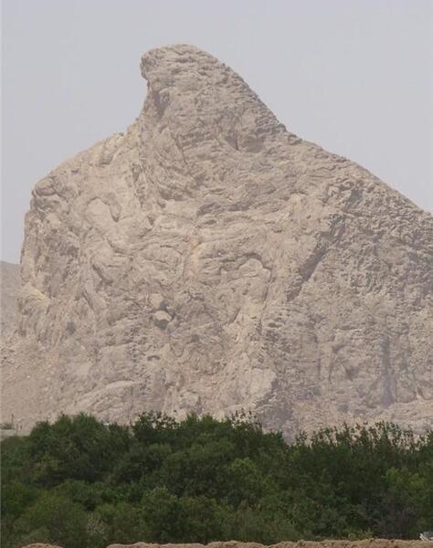 عکس عقاب یزد