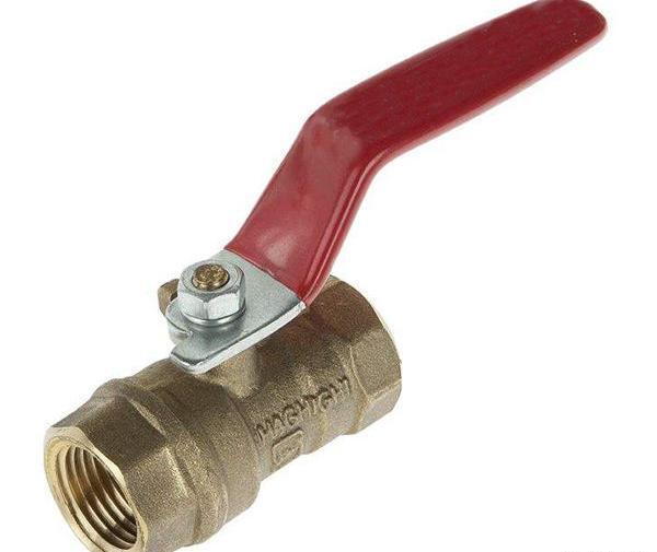عکس شیر گازی