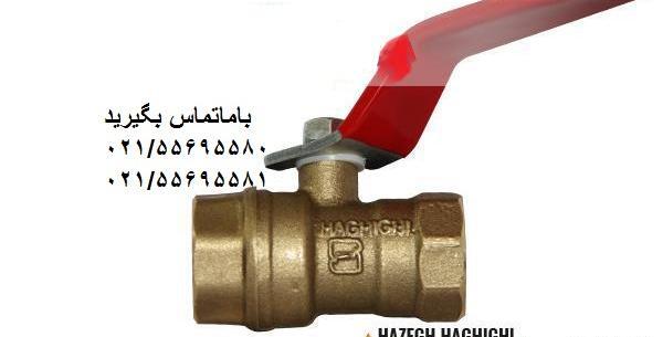 عکس شیر گازی