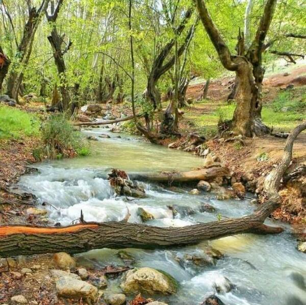 عکس طبیعت زیبای استان فارس
