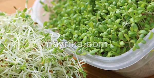 عکس یونجه درمانی