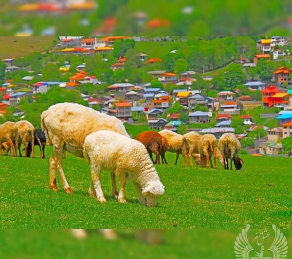 عکس طبیعت زیبای مازندران
