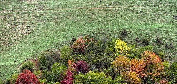 عکس طبیعت زیبای مازندران