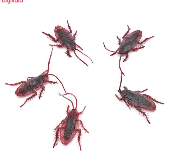 عکس سوسک عروسکی