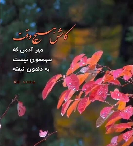 عکس استوری ناب و خاص