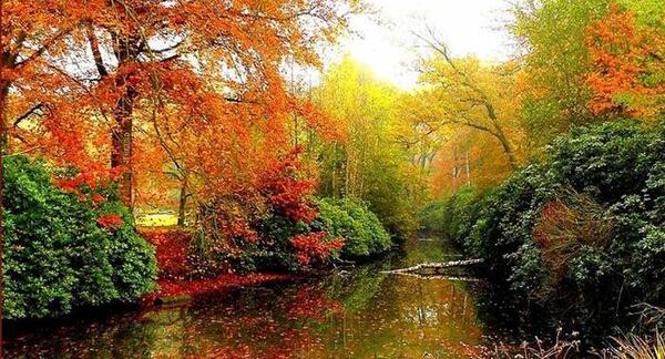 عکس طبیعت زیبای تابستان