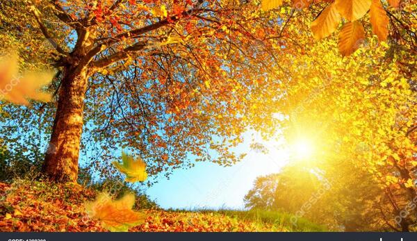 عکس غروب آفتاب پاییزی