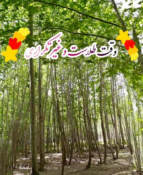 عکس استوری صبح بخیر انگیزشی