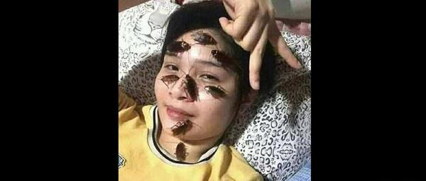 عکس سوسک چندش