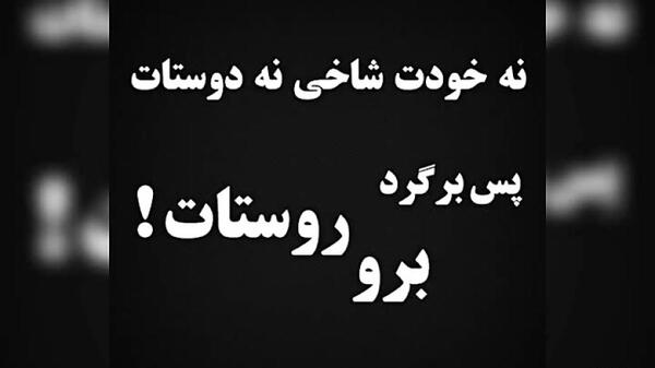 عکس جونم فدات عشقم