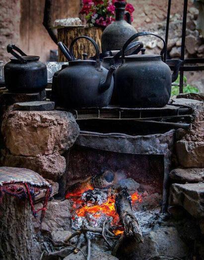 عکس چای ذغالی در زمستان
