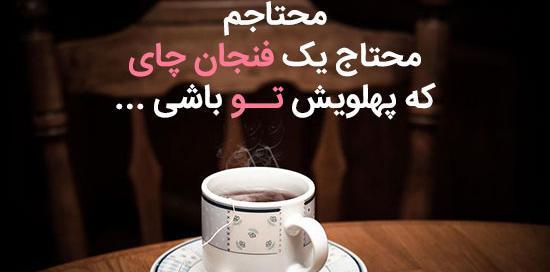 عکس چای ذغالی در زمستان