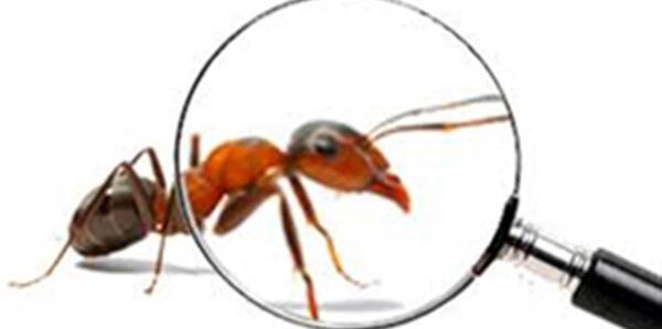 عکس نقاشی ذره بین