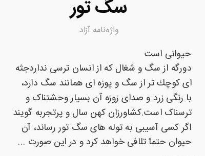 عکس سگ تور
