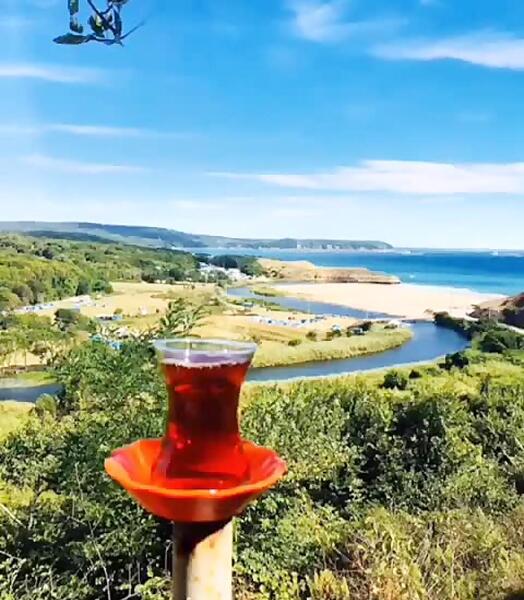 عکس چایی در طبیعت