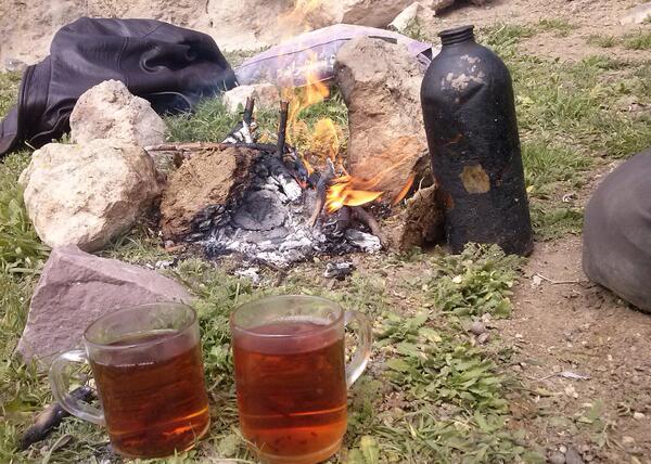 عکس چایی در طبیعت