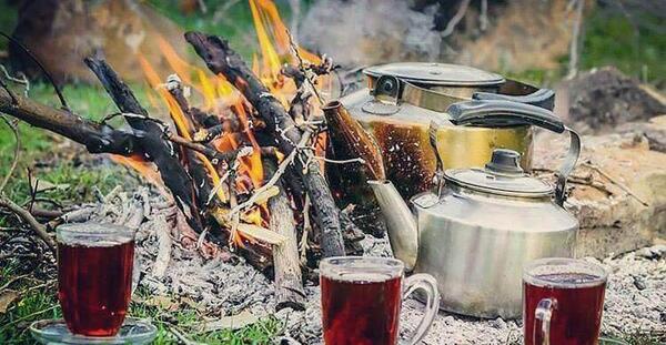 عکس چایی در طبیعت