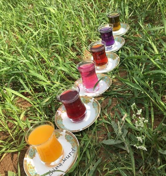 عکس چایی در طبیعت