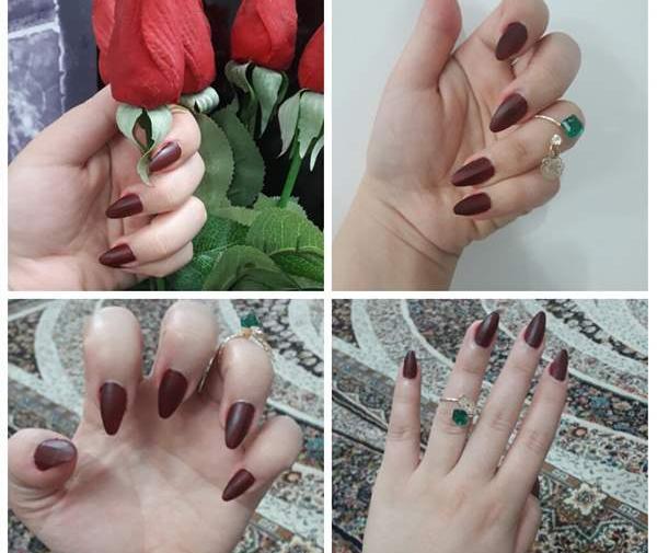 عکس لاک پشت نی نی سایت