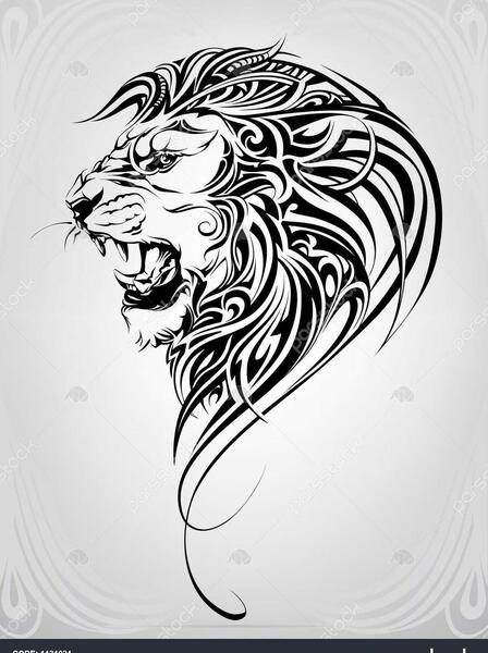 عکس سر شیر وحشی