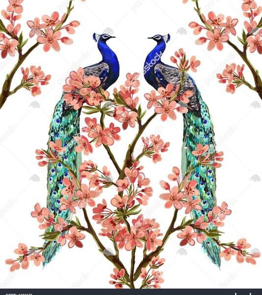 عکس طاووس روی درخت