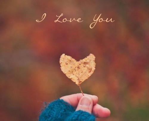 عکس عاشقانه بدون متن قلب
