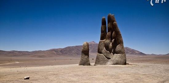 عکس واقعی غول بیابانی
