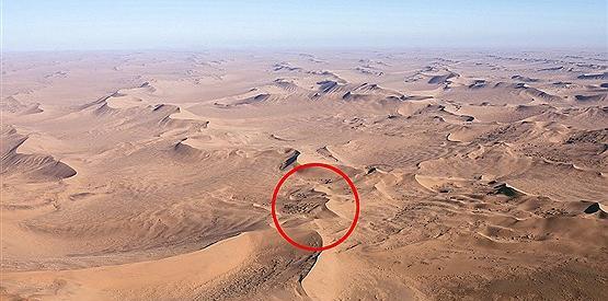 عکس واقعی غول بیابانی
