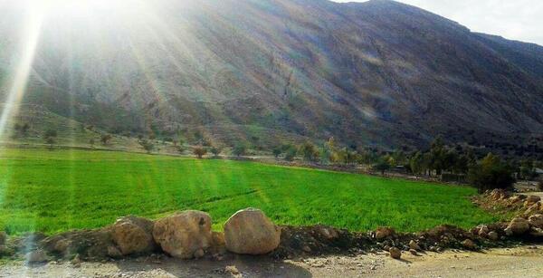 عکس طبیعت زیبای کازرون