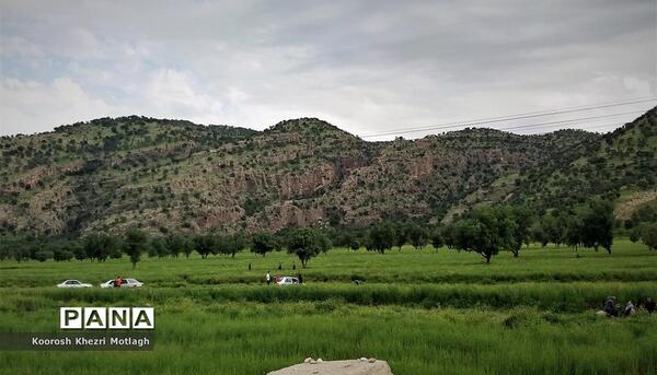عکس طبیعت زیبای کازرون