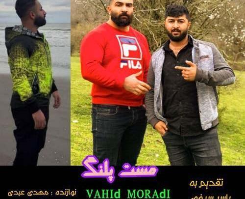 عکس و آهنگ وحید مرادی
