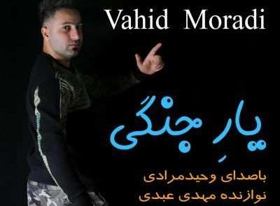 عکس و آهنگ وحید مرادی