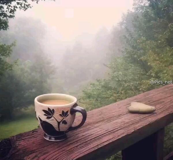 عکس صبح بخیر کیوت