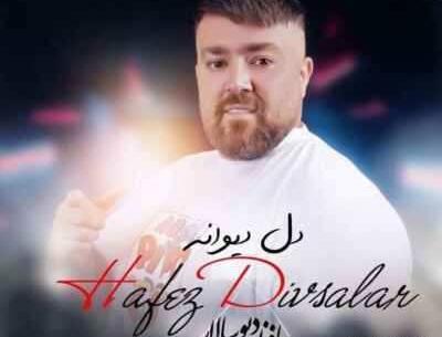 عکس حافظ دیوسالار