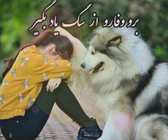 عکس سگ فانتزی برای پروفایل
