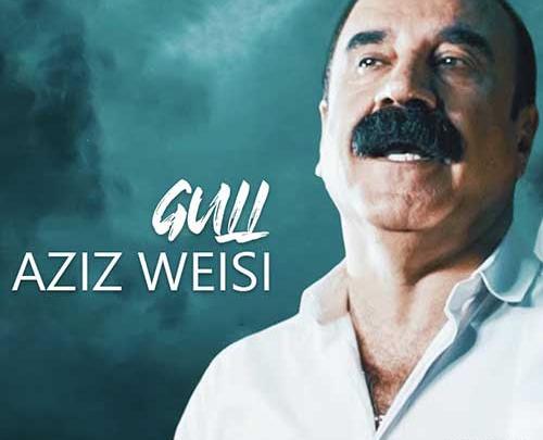 عکس قدیمی عزیز ویسی