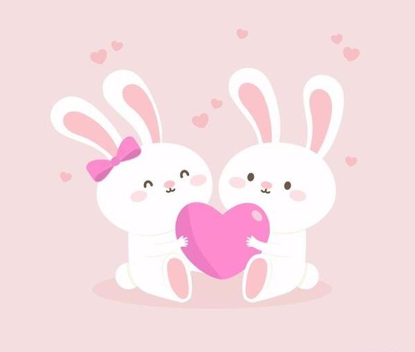 عکس زمینه خرگوش