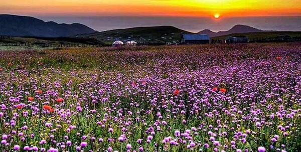 عکس جاهای دیدنی gilan