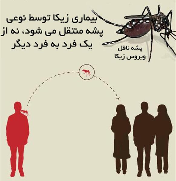 عکس ویروس زیکا
