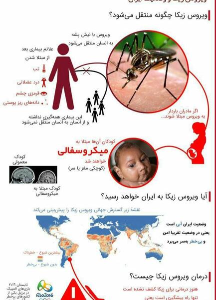 عکس ویروس زیکا
