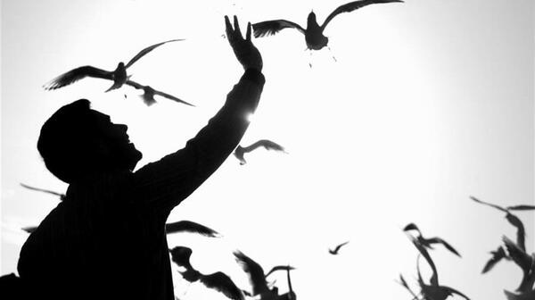 عکس ضد نور هنری