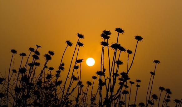 عکس ضد نور هنری