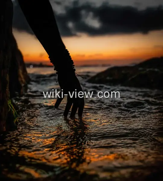 عکس ضد نور هنری