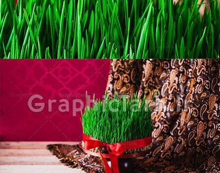 عکس سبزه عید از بالا