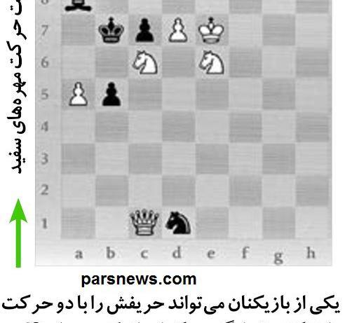 عکس صفحه شطرنجی سفید طوسی