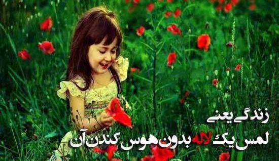 عکس یه تصویر زیبا