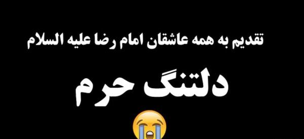 عکس دلتنگی امام رضا