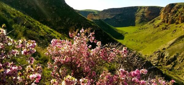 عکس شهر بیجار