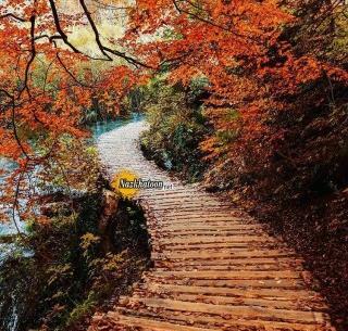 عکس واقعی طبیعت